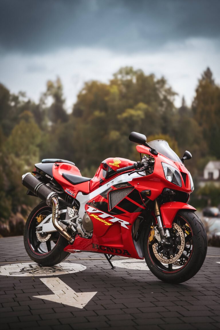 Portfolio Cyganfilmuje